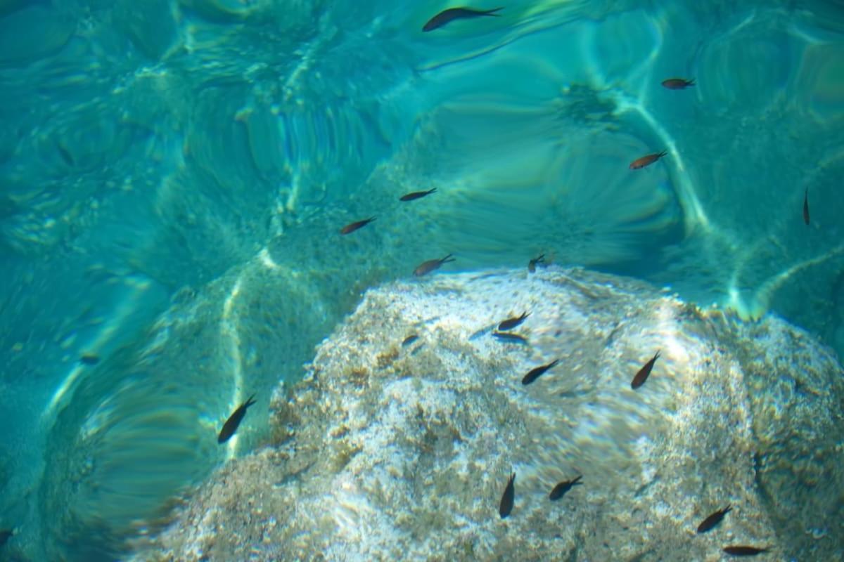 Seaview Luxury Villa Jacuzzi & Pool! 2 Min Beach Protaras Exteriér fotografie