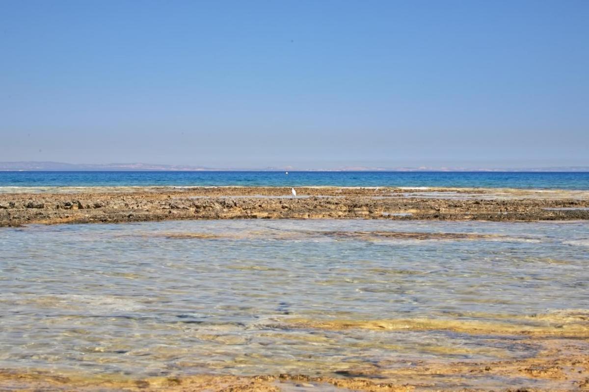 Seaview Luxury Villa Jacuzzi & Pool! 2 Min Beach Protaras Exteriér fotografie